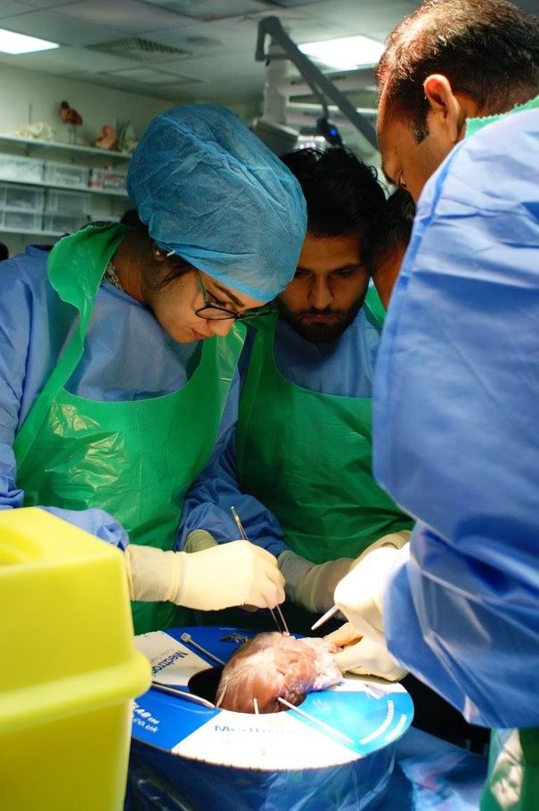 Mahan Salehi — portrait 9