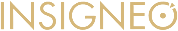 INSIGNEO Institute