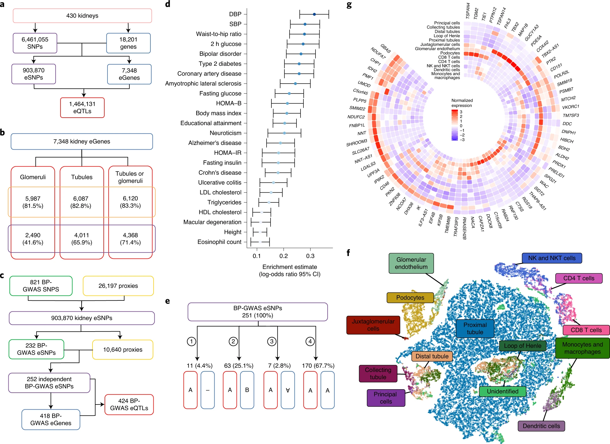 Nature Genetics